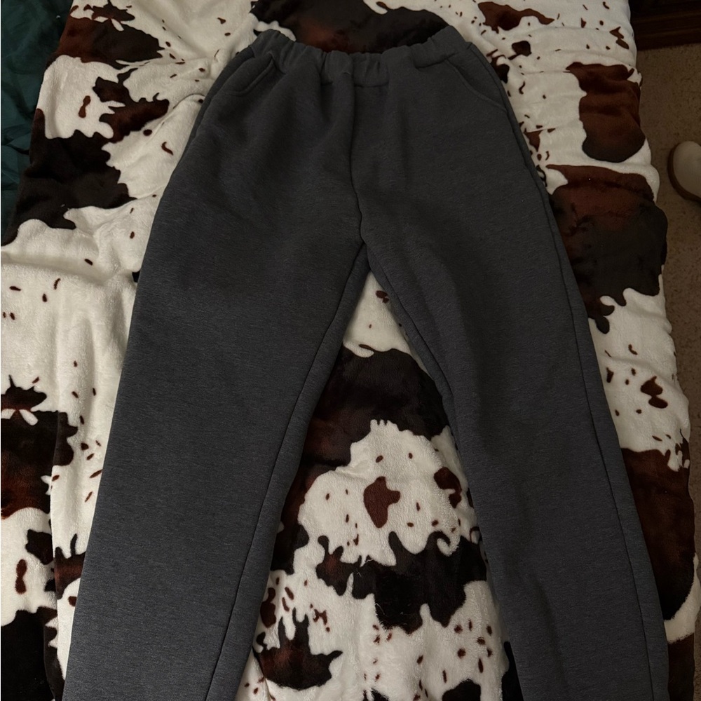 Source Unknown Gray Fleece Lined Pants with Tapered Legs